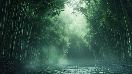 Foto op Canvas shockingly beautiful bamboo forest at sunrise, misty, dark, lush green, wet ground, extremely relaxing and sleep inducing © paisorn
