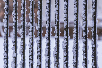 snow-covered parallel iron fence posts