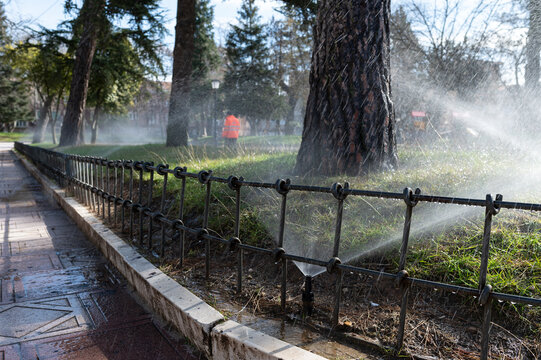 Riego por aspersores del c&eacute;sped en un parque publico.