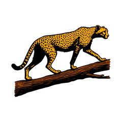 Illustration of Cheetah on Tree Branch