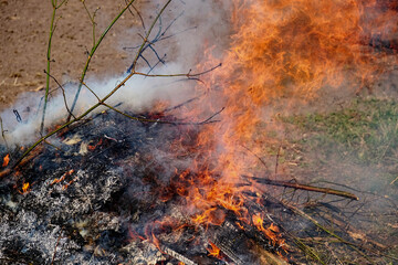 Bright flames consume the remnants of a bonfire.