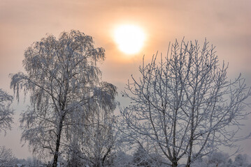 Pastellfarbene Sonne bei aufgelockerter Bewölkung über einer verschneiten Winterlandschaqft mit Bäumen
