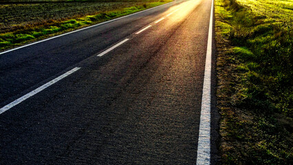 A sunlit asphalt road with white markings, flanked by green grass.