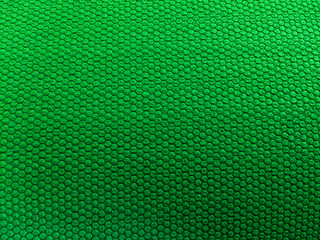 The image shows a green textured surface with small, uniform, raised circles.