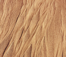 The image displays intricate patterns on a sandy surface, likely formed by wind movement.