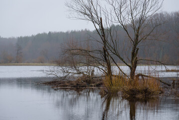 FLOOD - Flooded river valley and meadows after the rains
