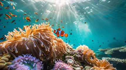 Foto op Canvas  a vibrant coral reef teeming with colorful life © boti1985