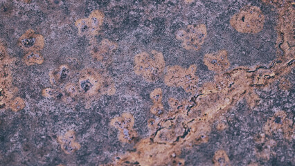 Rusty metal barrel texture detail. Scratched paint and rust. Abstract background. Old rusted metallic door. Close up view of corroded and rusted metal. Rusted metal background in vintage style