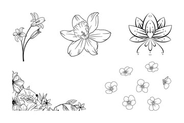 Set of hand-drawn botanical flowers line art vector. Collection of foliage, leaf branches, floral, flowers, roses, and line art.