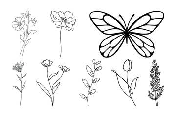 Set of hand-drawn botanical flowers line art vector. Collection of foliage, leaf branches, floral, flowers, roses, and line art.