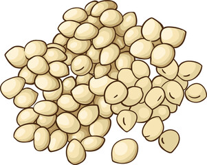 Amaranth Seeds  Colored Detailed  Illustration.