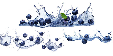 Collection of blueberry with water splash isolated on a white background as transparent PNG