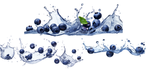 Collection of blueberry with water splash isolated on a white background as transparent PNG
