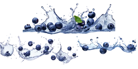 Gordijnen Collection of blueberry with water splash isolated on a white background as transparent PNG © gunzexx