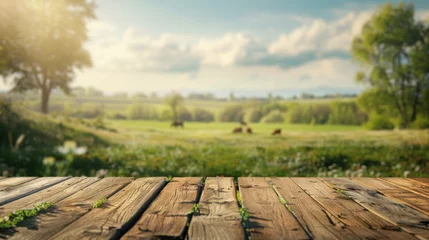 Photo sur Aluminium Prairie, marais A wooden table set against a backdrop of a vast meadow field with grazing cows.