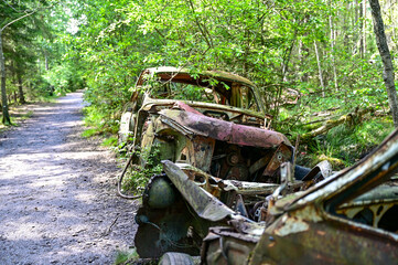 Old cars in wild nature on the Kyrko Mosse Car Cemetery, former junkyard, in the forest, Kyrkö...