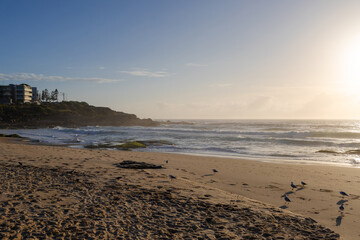 Beautiful morning view of Maroubra Beach, Sydney, Australia.