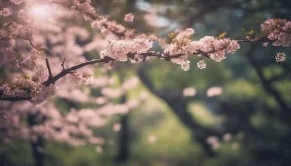 Fotobehang japanese nature, japanese nature scenery, nature in spring, green nature © Gegham