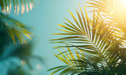 Tropical and exotic background with palm leaves on a blue background against sunlight. Welcome summer banner with copy space.