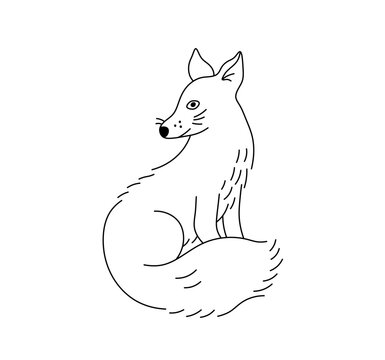 Vector isolated one single sitting fox side view colorless black and white contour line easy drawing