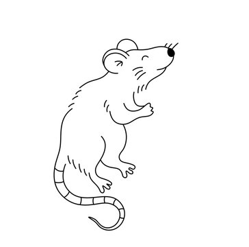 Vector isolated one single mouse rat standing on hind paws full body side view colorless black and white contour line easy drawing