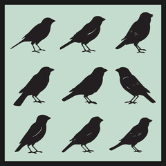 Grosbeak black silhouette set, collection of birds