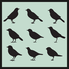 set of birds silhouettes, Mynah black silhouette set