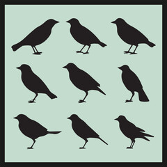 set of birds, Mynah black silhouette set