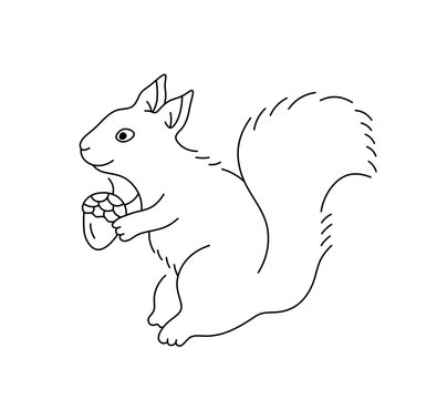 Vector isolated one single cute cartoon squirrel with acorn side view full body colorless black and white contour line easy drawing