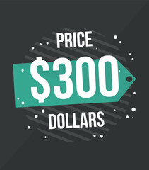 300 Dollars price. Vector for commercial sale with value in dollars, online business concept