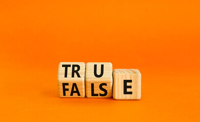 False or true symbol. Turned wooden cubes and changed the word false to true or vice versa....