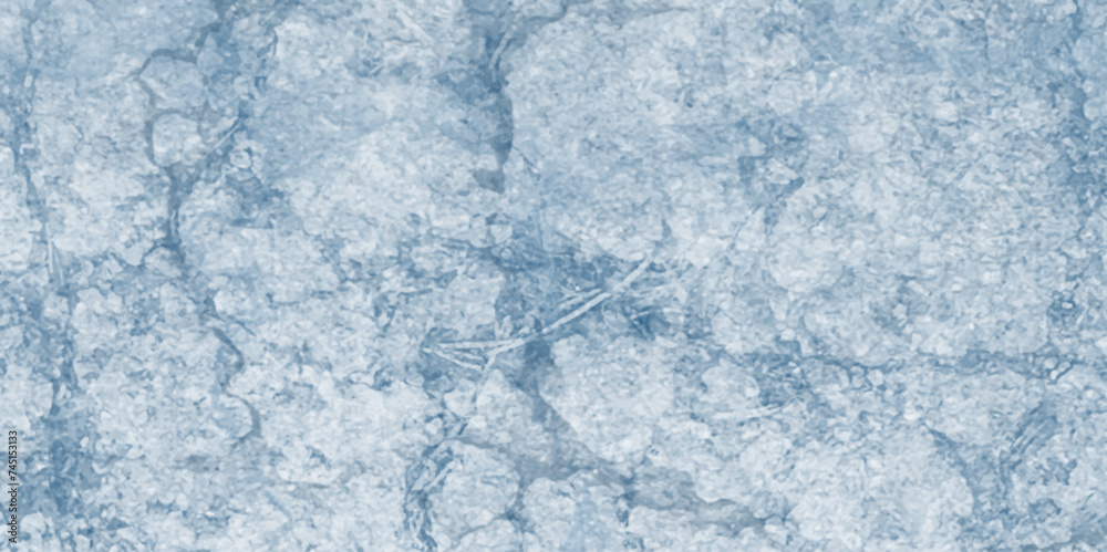 Poster marble texture luxury background. Marble texture abstract background pattern for design. pattern on a polished slab of blue marble . marble surface with natural marble design and natural vines. 