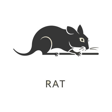 flat_logo_of_Vector_Rat_illustration_vector