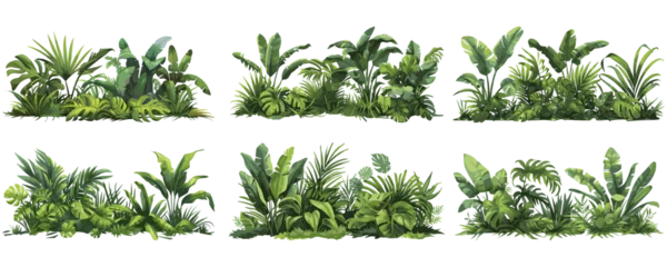 Fototapeten set of green grass and leaves. tropical jungle leaf. © Pandusaurus 