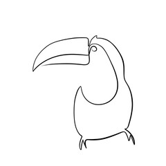 Continuous drawing of lines. Line art of toucan bird. Vector minimalistic