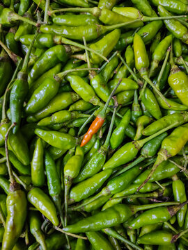Fresh green cayenne, or Cabe Rawit, is for sale in Jakarta's supermarket, taken from a top-view angle.
