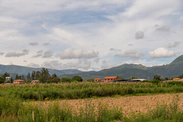 beautiful rural landscape, with green crops, pine trees and mountains in the background,cloudy day