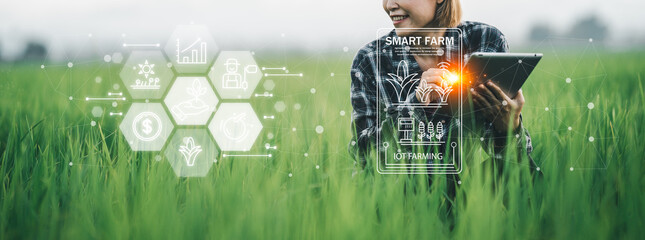 Ai for farming. iot Agriculture technology farmer woman holding tablet or tablet technology to...