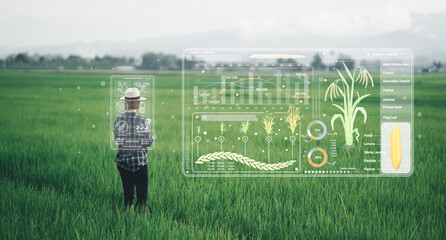 Ai for farming. iot Agriculture technology farmer woman holding tablet or tablet technology to research about agriculture problems analysis data and visual icon.