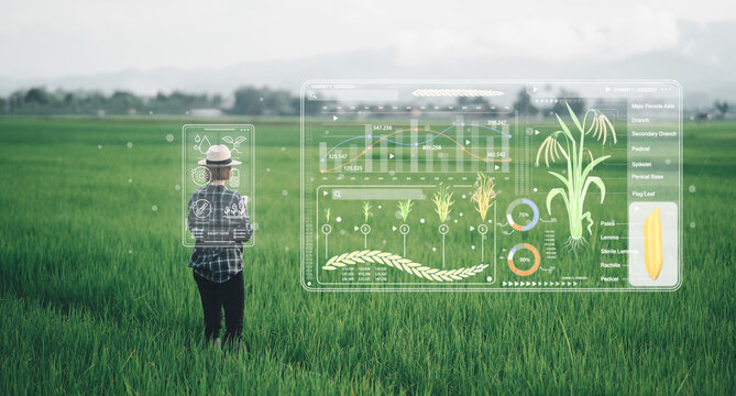 Ai for farming. iot Agriculture technology farmer woman holding tablet or tablet technology to research about agriculture problems analysis data and visual icon.