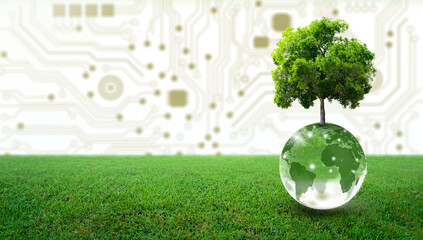 Tree growing on crystal globe and green grass. Digital Convergence and Technology Convergence. Environmental Technology, Green Computing, Green Technology, Green IT, csr, and IT ethics Concept.