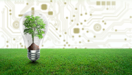 Tree with soil growing on Light bulb and green grass. Digital Convergence and Technology Convergence. Environmental Technology, Green Computing, Green Technology, Green IT, csr, and IT ethics Concept.