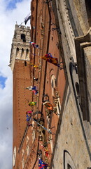 Fototapeta premium Fassade des Palazzo Pubblico (Rathaus) mit den Fahnen der Contraden von Siena