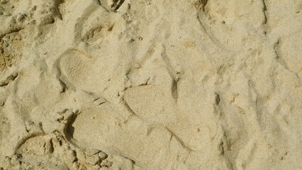 Wavy sand beach background