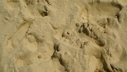 Wavy sand beach background