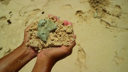 Hand holding a piece of coral with a beach background