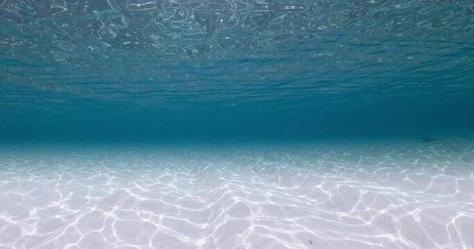 Blue ocean underwater with sandy bottom and waves