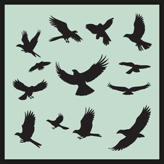 Eagle black silhouette set vector, set of birds