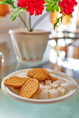 cookies and sugar cubes in a plastic plate and a flower in a pot on the table