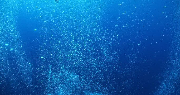  underwater ocean scenery air bubbles slow relaxing ocean backgrounds